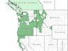  <p><strong>Abies grandis - Grand Fir</strong></p><p> </p><p><a href="https://plants.usda.gov/core/profile?symbol=ABGR">Map courtesy of USDA Plants Database</a><p/>