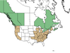  <p><strong>Aruncus dioicus - Goats Beard</strong></p><p> </p><p><a href="http://plants.usda.gov/core/profile?symbol=ARDI8">Map courtesy of USDA Plants Database</a><p/>