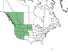  <p><strong>Balsalmhoriza sagitata - Arrow-leaf Balsamroot</strong></p><p> </p><p><a href="https://plants.usda.gov/core/profile?symbol=BASA3">Map courtesy of USDA Plants Database</a><p/>