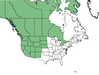  <p><strong>Betula occidentalis - Water Birch</strong></p><p> </p><p><a href="https://plants.usda.gov/core/profile?symbol=BEOC2">Map courtesy of USDA Plants Database</a><p/>