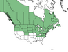  <p><strong>Betula papyrifera - Paper Birch</strong></p><p> </p><p><a href="https://plants.usda.gov/core/profile?symbol=BEPA">Map courtesy of USDA Plants Database</a><p/>