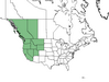  <p><strong>Camassia quamash - Common Camas</strong></p><p> </p><p><a href="https://plants.usda.gov/core/profile?symbol=CAQU2">Map courtesy of USDA Plants Database</a><p/>