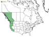  <p><strong>Carex obnupta - Slough Sedge</strong></p><p> </p><p><a href="http://plants.usda.gov/core/profile?symbol=CAOB3">Map courtesy of USDA Plants Database</a><p/>