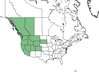  <p><strong>Ceanothus velutinus - Snowbrush</strong></p><p> </p><p><a href="https://plants.usda.gov/core/profile?symbol=CEVE">Map courtesy of USDA Plants Database</a><p/>