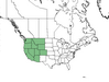  <p><strong>Cercocarpus ledifolius - Curl-leaf Mountain Mahogony</strong></p><p> </p><p><a href="https://plants.usda.gov/core/profile?symbol=CELE3">Map courtesy of USDA Plants Database</a><p/>