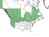  <p><strong>Crataegus douglasii - Oregon Hawthorn</strong></p><p> </p><p><a href="https://plants.usda.gov/core/profile?symbol=CRDO2">Map courtesy of USDA Plants Database</a><p/>