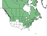  <p><strong>Dryopteris austriaca - Wood Fern</strong></p><p> </p><p><a href="http://plants.usda.gov/core/profile?symbol=DRCA11">Map courtesy of USDA Plants Database</a><p/>