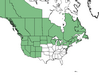  <p><strong>Geum macrophyllum - Oregon Avens</strong></p><p> </p><p><a href="https://plants.usda.gov/core/profile?symbol=GEMA4">Map courtesy of USDA Plants Database</a><p/>