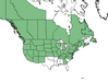  <p><strong>Heracleum lanatum - Cow Parsnip</strong></p><p> </p><p><a href="https://plants.usda.gov/core/profile?symbol=HEMA80">Map courtesy of USDA Plants Database</a><p/>