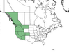  <p><strong>Holodiscus discolor - Oceanspray</strong></p><p> </p><p><a href="https://plants.usda.gov/core/profile?symbol=HODI">Map courtesy of USDA Plants Database</a><p/>