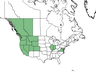  <p><strong>Iliamna rivularis - Streambank Globemallow</strong></p><p> </p><p><a href="http://plants.usda.gov/core/profile?symbol=ILRI">Map courtesy of USDA Plants Database</a><p/>