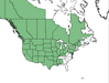  <p><strong>Koeleria cristata - Prairie Junegrass</strong></p><p> </p><p><a href="http://plants.usda.gov/core/profile?symbol=KOMA">Map courtesy of USDA Plants Database</a><p/>