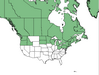  <p><strong>Ledum groenlandicum - Labrador Tea</strong></p><p> </p><p><a href="https://plants.usda.gov/core/profile?symbol=LEGR">Map courtesy of USDA Plants Database</a><p/>