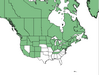  <p><strong>Linnaea borealis - Twinflower</strong></p><p> </p><p><a href="https://plants.usda.gov/core/profile?symbol=LIBO3">Map courtesy of USDA Plants Database</a><p/>