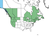  <p><strong>Lupinus polyphyllus - Big-leaved Lupine</strong></p><p> </p><p><a href="https://plants.usda.gov/core/profile?symbol=LUPO2">Map courtesy of USDA Plants Database</a><p/>