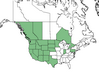  <p><strong>Mahonia repens - Creeping Oregon Grape</strong></p><p> </p><p><a href="https://plants.usda.gov/core/profile?symbol=MARE11">Map courtesy of USDA Plants Database</a><p/>