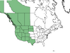  <p><strong>Smilacina racemosa - False Solomon Seal</strong></p><p> </p><p><a href="https://plants.usda.gov/core/profile?symbol=MARAA">Map courtesy of USDA Plants Database</a><p/>