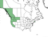  <p><strong>Montia siberica - Minerï¿½s Lettuce</strong></p><p> </p><p><a href="https://plants.usda.gov/core/profile?symbol=CLSIB">Map courtesy of USDA Plants Database</a><p/>