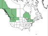  <p><strong>Oplopanax horridus - 'Devil''''s Club'</strong></p><p> </p><p><a href="https://plants.usda.gov/core/profile?symbol=OPHO">Map courtesy of USDA Plants Database</a><p/>