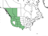  <p><strong>Pachystima myrsinites - Oregon Box</strong></p><p> </p><p><a href="https://plants.usda.gov/core/profile?symbol=PAMY">Map courtesy of USDA Plants Database</a><p/>