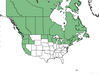  <p><strong>Petasites frigidus var. palmatus - Coltsfoot</strong></p><p> </p><p><a href="https://plants.usda.gov/core/profile?symbol=PEFRP">Map courtesy of USDA Plants Database</a><p/>