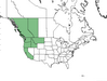  <p><strong>Philadelphus lewisii - Mock Orange</strong></p><p> </p><p><a href="https://plants.usda.gov/core/profile?symbol=PHLE4">Map courtesy of USDA Plants Database</a><p/>