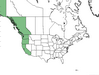  <p><strong>Picea sitchensis - Sitka Spruce</strong></p><p> </p><p><a href="https://plants.usda.gov/core/profile?symbol=PISI">Map courtesy of USDA Plants Database</a><p/>