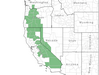  <p><strong>Pinus contorta ssp. murrayana - Lodgepole Pine</strong></p><p> </p><p><a href="https://plants.usda.gov/core/profile?symbol=PICOM">Map courtesy of USDA Plants Database</a><p/>