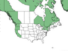  <p><strong>Potentilla pacifica - Pacific Silverweed</strong></p><p> </p><p><a href="https://plants.usda.gov/core/profile?symbol=AREGE">Map courtesy of USDA Plants Database</a><p/>