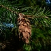 <p><strong>Pseudotsuga menziesii - Douglas Fir</strong></p><p><strong>Light: </strong><img src="https://champoegnursery.com/wp-content/uploads/2014/09/icon_full_sun.gif"/> / <img src="https://champoegnursery.com/wp-content/uploads/2014/09/icon_partial_shade.gif"/></p><p> <strong>Water: <img src="https://champoegnursery.com/wp-content/uploads/2014/09/icon_dry.gif"/> / <img src="https://champoegnursery.com/wp-content/uploads/2014/09/icon_moist.gif"/></p> <p> Max Height: </strong> 200 ft. <strong> Max Width: </strong> 50 ft. </p><p><strong>Description: </strong>This majestic tree has thick bark, which makes it somewhat resistant to fire.  It prefers sunny areas. <strong>Zone: </strong>  3-6</p><p><img src="https://champoegnursery.com/wp-content/uploads/2014/09/icon_butterfly.gif"/>    <img src="https://champoegnursery.com/wp-content/uploads/2014/09/icon_wildlife.gif"/></p>