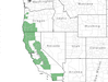  <p><strong>Rhododendron occidentale - Western Azalea</strong></p><p> </p><p><a href="https://plants.usda.gov/core/profile?symbol=RHOC">Map courtesy of USDA Plants Database</a><p/>