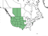  <p><strong>Rhus glabra - Smooth Sumac</strong></p><p> </p><p><a href="https://plants.usda.gov/core/profile?symbol=RHGL">Map courtesy of USDA Plants Database</a><p/>