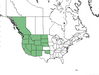  <p><strong>Ribes cereum - Wax Currant</strong></p><p> </p><p><a href="https://plants.usda.gov/core/profile?symbol=RICE">Map courtesy of USDA Plants Database</a><p/>