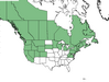  <p><strong>Ribes lacustre - Black Swamp Gooseberry</strong></p><p> </p><p><a href="https://plants.usda.gov/core/profile?symbol=RILA">Map courtesy of USDA Plants Database</a><p/>