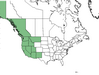  <p><strong>Rubus leucodermis - White Bark Raspberry</strong></p><p> </p><p><a href="https://plants.usda.gov/core/profile?symbol=RULE">Map courtesy of USDA Plants Database</a><p/>