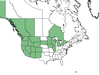  <p><strong>Rubus parviflorus - Thimbleberry</strong></p><p> </p><p><a href="https://plants.usda.gov/core/profile?symbol=RUPA">Map courtesy of USDA Plants Database</a><p/>