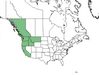  <p><strong>Rubus ursinus - Trailing Blackberry</strong></p><p> </p><p><a href="https://plants.usda.gov/core/profile?symbol=RUUR">Map courtesy of USDA Plants Database</a><p/>