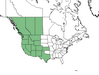  <p><strong>Salix exigua - Coyote Willow</strong></p><p> </p><p><a href="https://plants.usda.gov/core/profile?symbol=SAEX">Map courtesy of USDA Plants Database</a><p/>