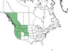  <p><strong>Salix lemmonii - Lemon Willow</strong></p><p> </p><p><a href="https://plants.usda.gov/core/profile?symbol=SALE">Map courtesy of USDA Plants Database</a><p/>