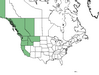  <p><strong>Salix sitchensis - Sitka Willow</strong></p><p> </p><p><a href="https://plants.usda.gov/core/profile?symbol=SASI2">Map courtesy of USDA Plants Database</a><p/>