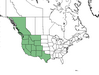  <p><strong>Sambucus caerulea - Blue Elderberry</strong></p><p> </p><p><a href="https://plants.usda.gov/core/profile?symbol=SANIC5">Map courtesy of USDA Plants Database</a><p/>