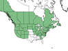  <p><strong>Sambucus racemosa - Red Elderberry</strong></p><p> </p><p><a href="https://plants.usda.gov/core/profile?symbol=SARA2">Map courtesy of USDA Plants Database</a><p/>