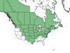  <p><strong>Scirpus acutus - Hardstem Bulrush</strong></p><p> </p><p><a href="https://plants.usda.gov/core/profile?symbol=SCACA">Map courtesy of USDA Plants Database</a><p/>