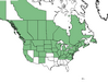  <p><strong>Symphoricarpus albus - Common Snowberry</strong></p><p> </p><p><a href="https://plants.usda.gov/core/profile?symbol=SYAL">Map courtesy of USDA Plants Database</a><p/>