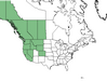  <p><strong>Thalictrum occidentale - Western Meadowrue</strong></p><p> </p><p><a href="https://plants.usda.gov/core/profile?symbol=THOC">Map courtesy of USDA Plants Database</a><p/>