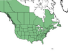  <p><strong>Typha latifolia - Common Cattail</strong></p><p> </p><p><a href="https://plants.usda.gov/core/profile?symbol=TYLA">Map courtesy of USDA Plants Database</a><p/>