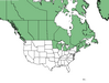  <p><strong>Vaccinium vitis-idaea - Lingon-berry</strong></p><p> </p><p><a href="https://plants.usda.gov/core/profile?symbol=VAVI">Map courtesy of USDA Plants Database</a><p/>