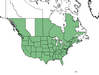  <p><strong>Verbena hastata - Wild Hyssop</strong></p><p> </p><p><a href="https://plants.usda.gov/core/profile?symbol=VEHA2">Map courtesy of USDA Plants Database</a><p/>